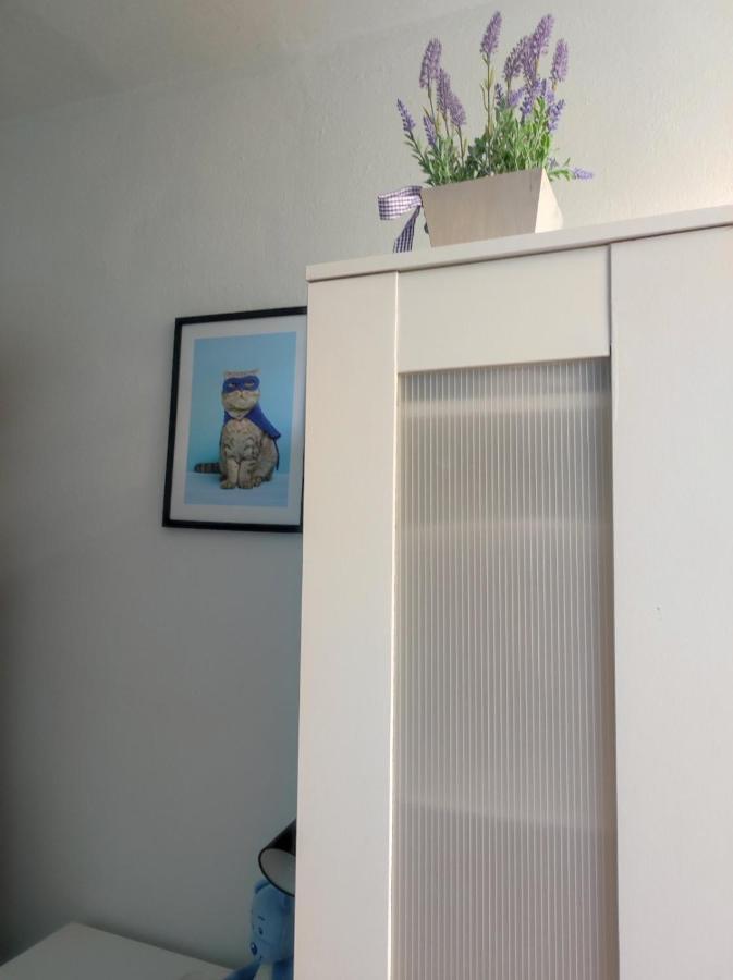 Single Room No.4 In The Very Center Of Varsóvia Exterior foto